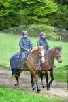 ref. photo 3142514