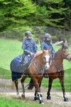 ref. photo 3142515