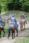 ref. photo 3142517