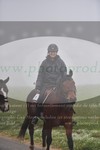 ref. photo 3142526