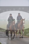 ref. photo 3142528