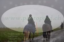 ref. photo 3142530