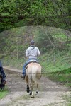 ref. photo 3142542
