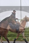 ref. photo 3142546