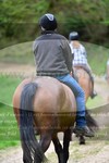 ref. photo 3142585