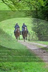 ref. photo 3142602