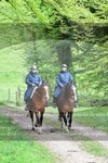 ref. photo 3142604