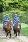 ref. photo 3142605