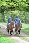 ref. photo 3142606
