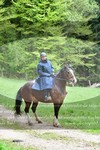 ref. photo 3142614