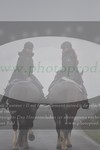 ref. photo 3142629