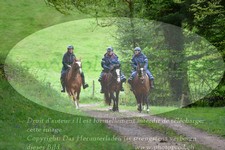 ref. photo 3142664