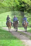 ref. photo 3142666