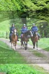 ref. photo 3142667