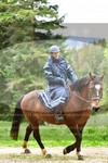 ref. photo 3142674