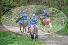 ref. photo 3142679