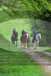 ref. photo 3142687