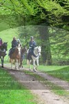 ref. photo 3142688