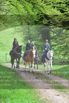 ref. photo 3142690