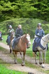 ref. photo 3142695