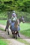 ref. photo 3142697