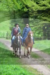 ref. photo 3142752