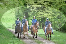 ref. photo 3142778