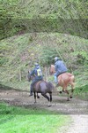 ref. photo 3142788