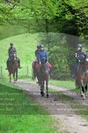 ref. photo 3142806