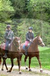 ref. photo 3142814