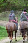 ref. photo 3142822
