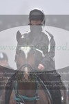 ref. photo 3142834