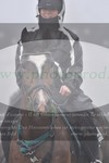 ref. photo 3142835