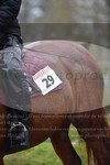 ref. photo 3142851