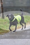 ref. photo 3142861