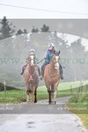 ref. photo 3142867