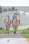 ref. photo 3142868