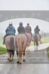 ref. photo 3142874