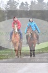 ref. photo 3142881
