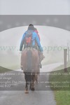 ref. photo 3142888