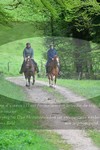 ref. photo 3142892