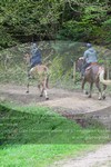 ref. photo 3142903