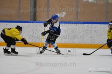 ref. photo 3077818