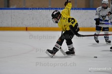 ref. photo 3078123