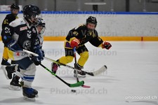 ref. photo 3079150