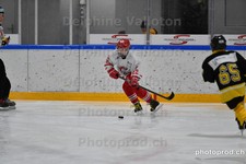 ref. photo 3079187