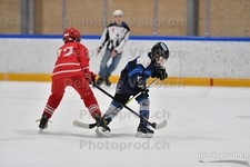 ref. photo 3079203