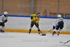 ref. photo 3079220