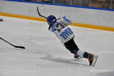 ref. photo 3079323