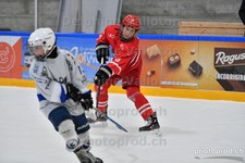 ref. photo 3080128